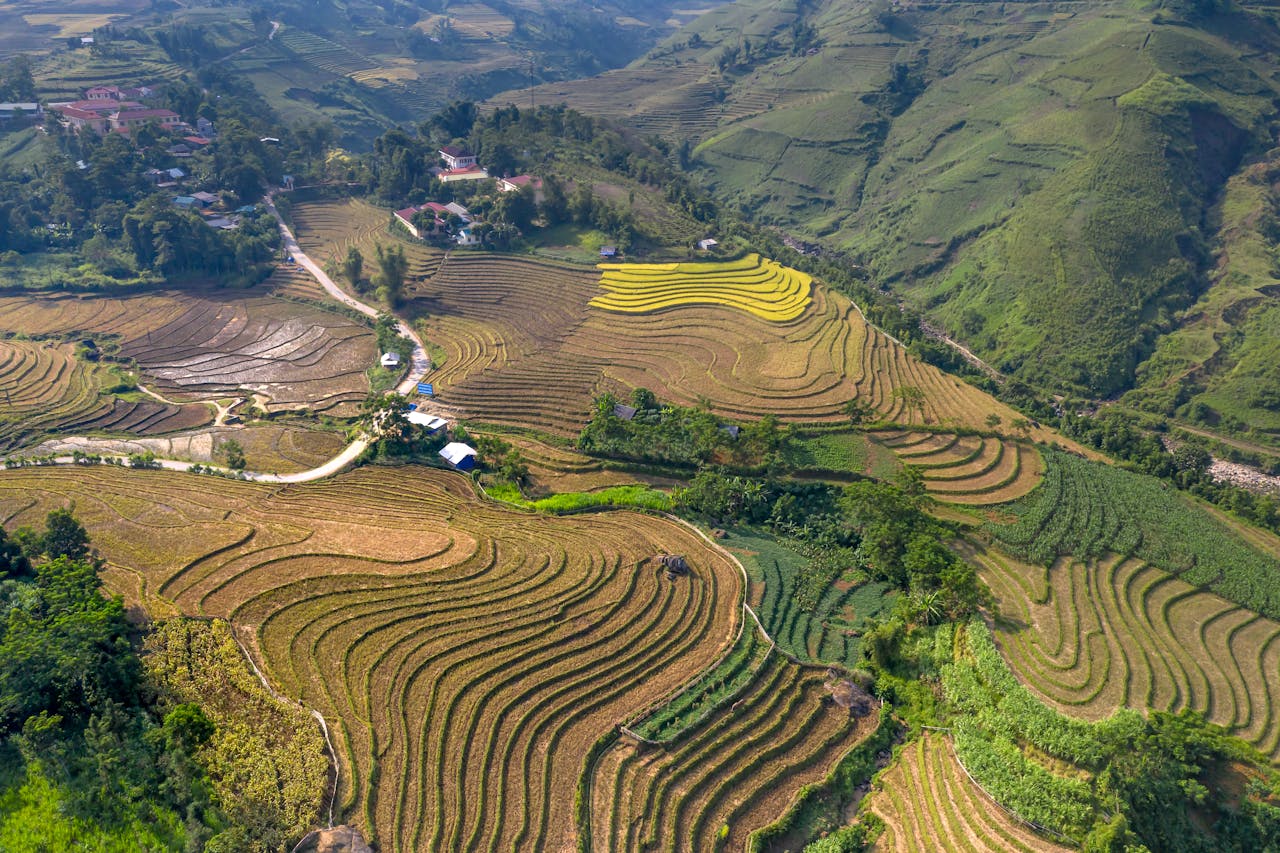 A breathtaking aerial image showcasing terraced fields in the countryside, capturing nature's beauty.